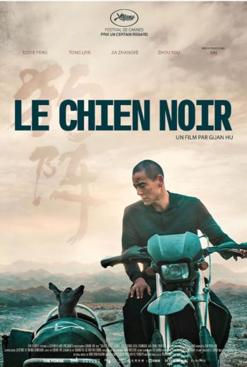 Image du film