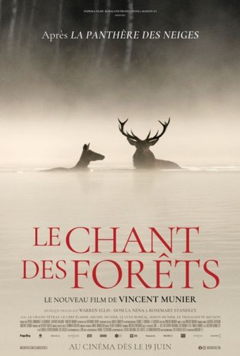 Image du film